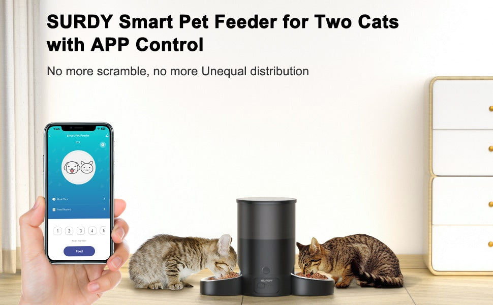 Automatic cat feeder for best sale 3 cats